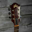 Guild D-25 1984