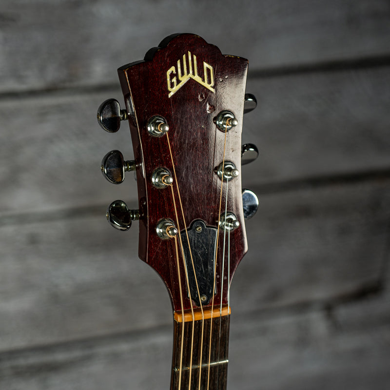Guild D-25 1984