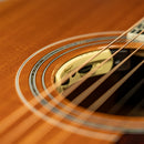Guild F-55E Jumbo