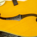 Guild X-175B