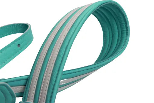 Franklin Hot Rod Padded Guitar & Bass Strap - Seafoam Green