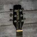 Hamer Prototype 1982