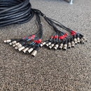 CBI 100 Foot 16x4 Fan to Fan XLR Snake