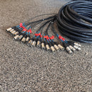 CBI 100 Foot 16x4 Fan to Fan XLR Snake