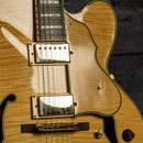 Ibanez AF105