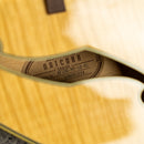 Ibanez AF105