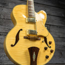Ibanez AF105