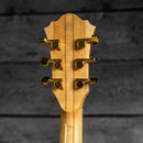 Ibanez AF105