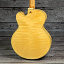Ibanez AF105