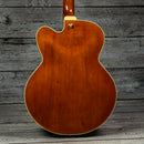 Ibanez AF95-DA Artcore Expressionist