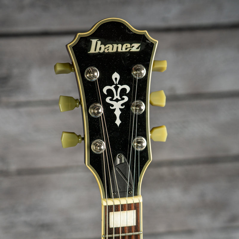 Ibanez AGS73FM