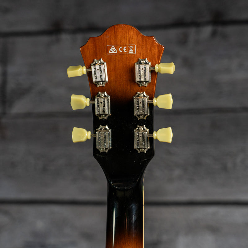Ibanez AGS73FM