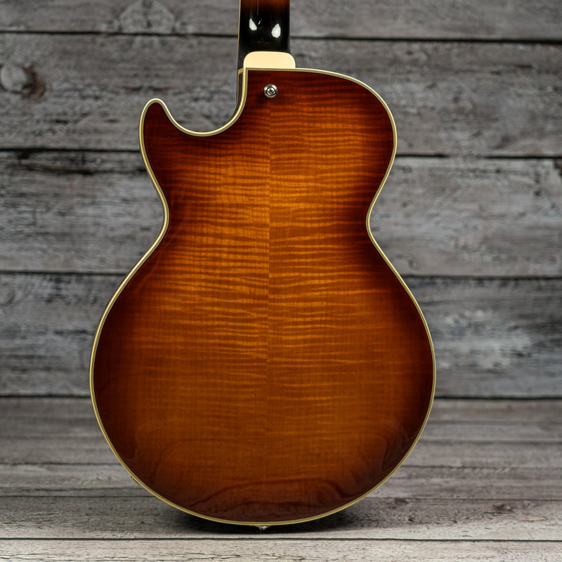 Ibanez AGS73FM