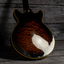 Ibanez AM205