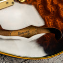 Ibanez AM205
