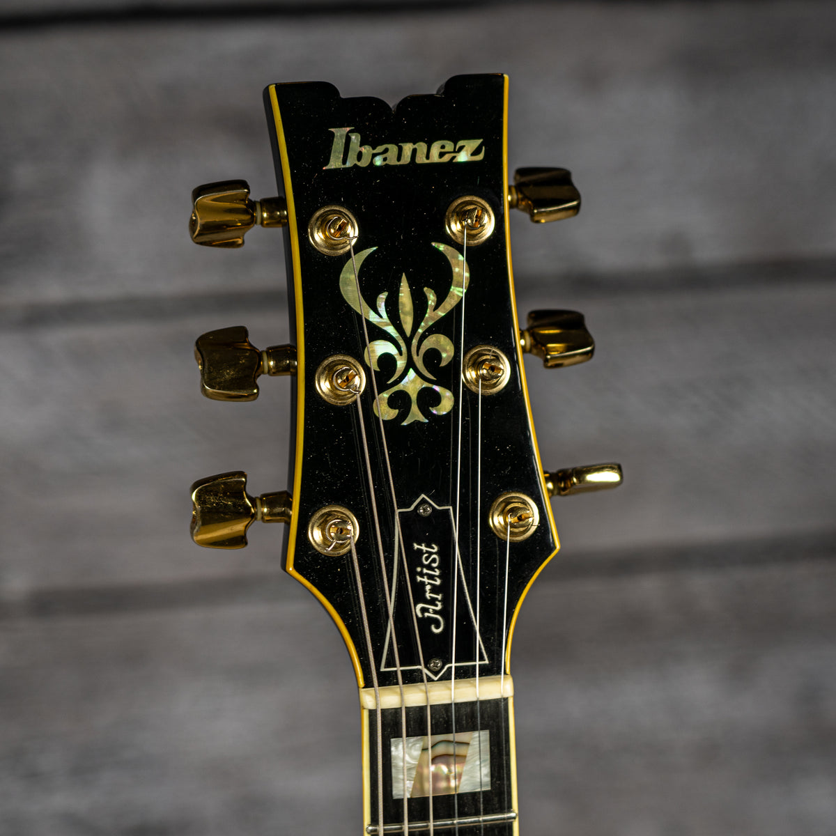 Ibanez AM205 (USED)