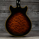 Ibanez AM205