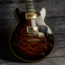 Ibanez AM205