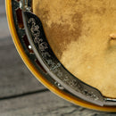 Ibanez Bicentennial 5 String Banjo 1976