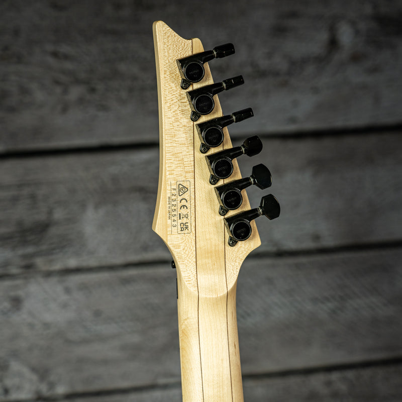 Ibanez Genesis Collection RG550