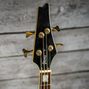 Ibanez ICB200