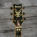 Ibanez JSM20 John Scofield Signature