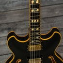Ibanez JSM20 John Scofield Signature
