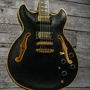 Ibanez JSM20 John Scofield Signature
