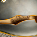 Ibanez JSM20 John Scofield Signature