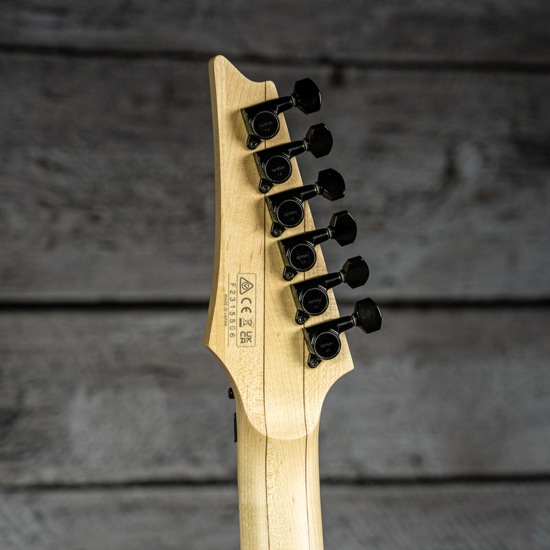 Ibanez RG550 Genesis - Modded