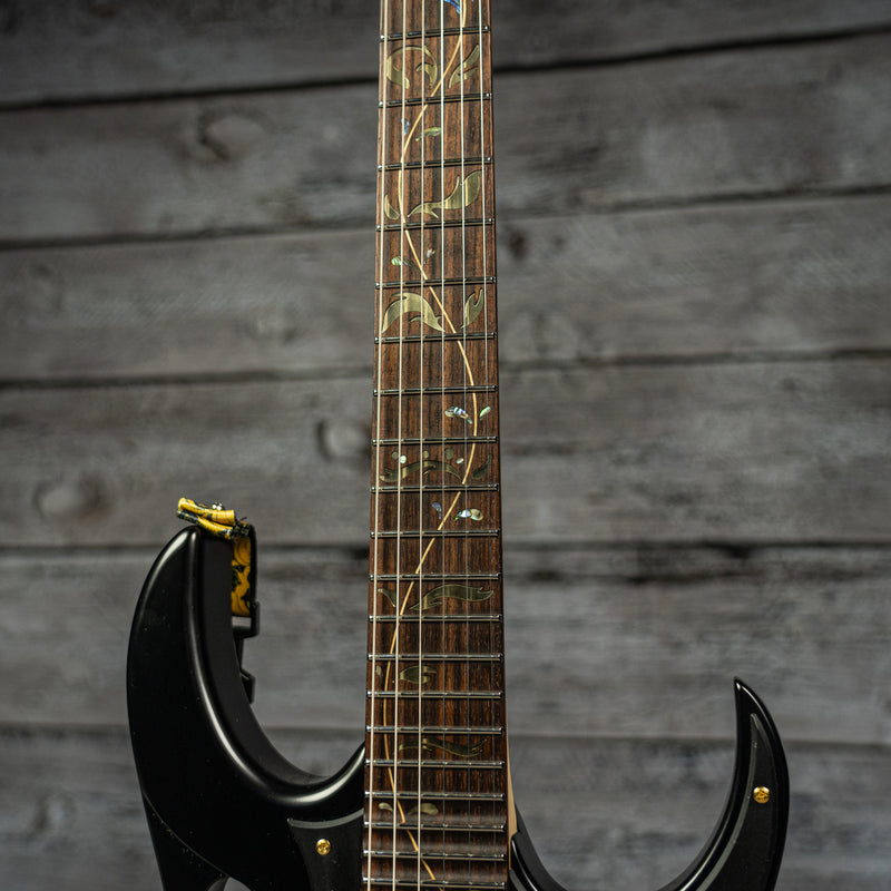 Ibanez Steve Vai PIA3761