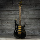 Ibanez Steve Vai PIA3761