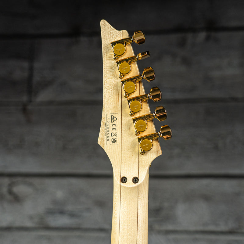 Ibanez Steve Vai PIA3761