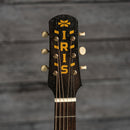 Iris MS-OO Burst