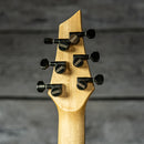Kiesel DC Custom