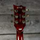 LTD Deluxe EC-1000