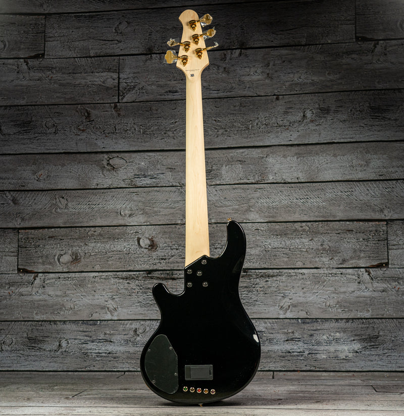 Lakland Skyline 55-02 Deluxe Spalt - Violet Burst, Maple Fingerboard