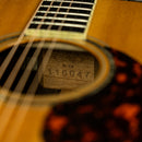 Larrivee D-10