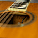 Larrivee D-19 - 1994