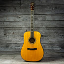 Larrivee D-19 - 1994