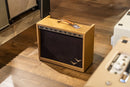Magnatone Panoramic Stereo 2x10" Combo - Camel