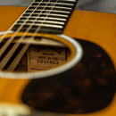 Martin 000JR-10E Shawn Mendes