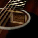 Martin D-10E