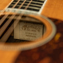 Martin D-16RGT