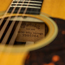 Martin D-28 Billy Strings