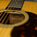 Martin D-28