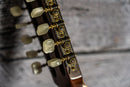 Martin D12-35 1977