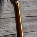 Martin D12-35 1977
