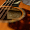 Martin GPCPA1 Plus