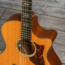 Martin GPCPA1 Plus